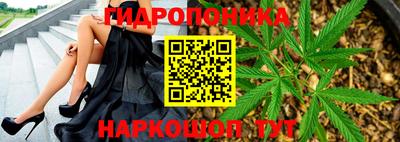 МДПВ Лесосибирск