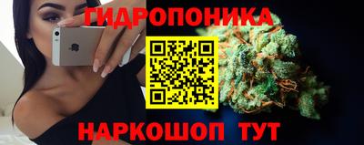 МДПВ Лесосибирск