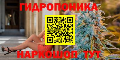 МДПВ Лесосибирск