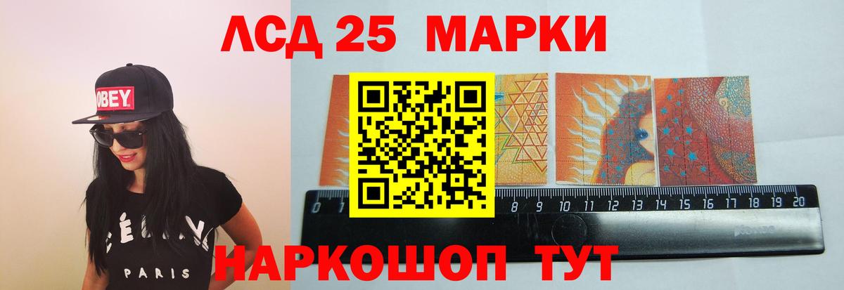 Камышин  блэк спрут зеркало  Вход с VPN  LSD-25 экстази кислота  Лсд 25 экстази ecstasy 