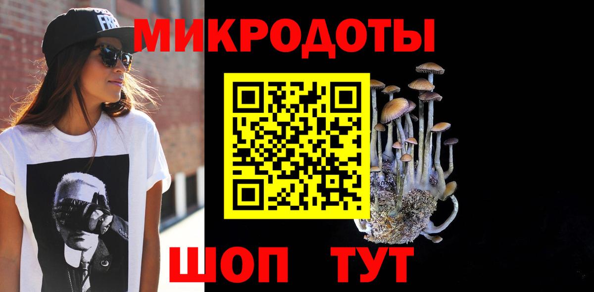 Псилоцибиновые грибы GOLDEN TEACHER  Вход с VPN  сколько стоит  Камышин 