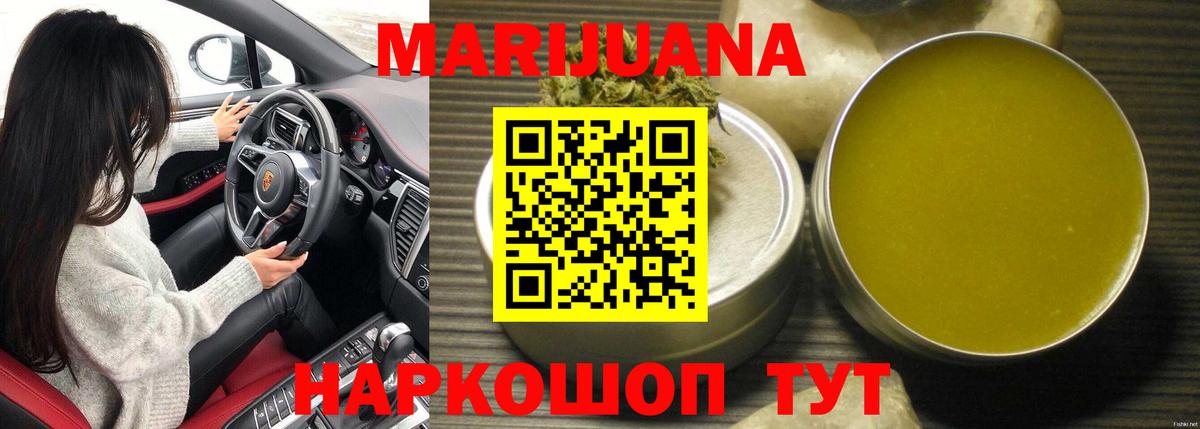 Конопля сатива Камышин